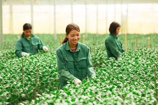 Pan Farm tất toán 3 lô trái phiếu, dòng tiền chịu áp lực lớn