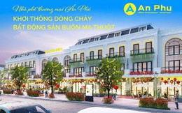 Ân Phú - 20 năm kiến tạo giá trị, nâng tầm đô thị Việt