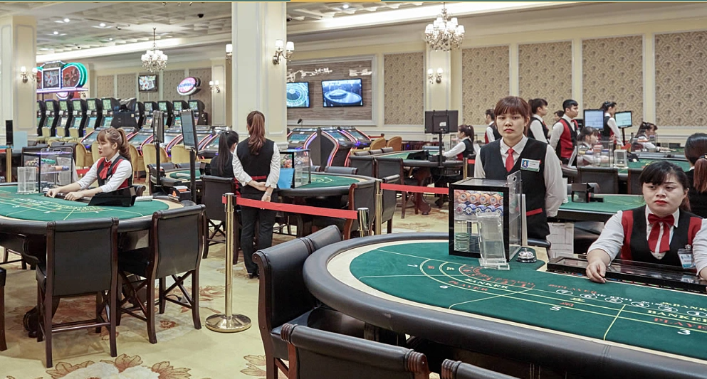 Chủ casino lớn nhất Quảng Ninh báo lãi trở lại nhưng áp lực vẫn lớn