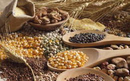 Chỉ số giá lương thực đạt trung bình 128,5 điểm trong tháng 3/2026