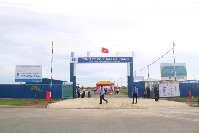 Nợ thuế hơn 75 tỷ, Hải Đăng bị cưỡng chế đồng loạt tại 7 ngân hàng