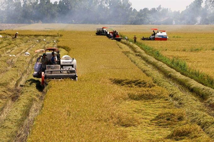 Bộ Nông nghiệp và Môi trường đề xuất giảm thuế vật tư nông nghiệp - Ảnh 1