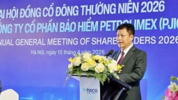 Doanh thu tăng mạnh, cổ tức giữ 12%, vì sao cổ đông PJICO chưa hài lòng?