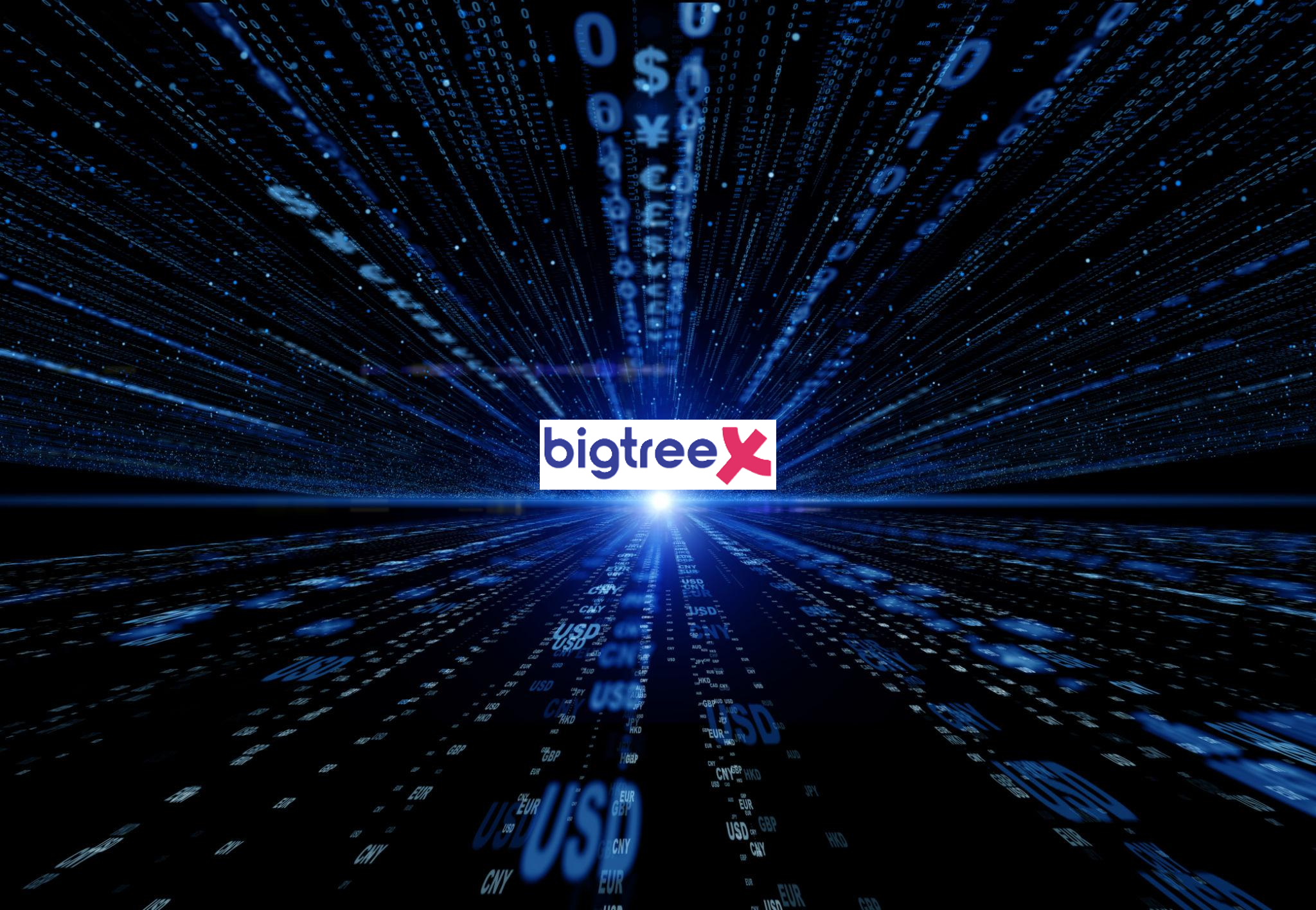 Dòng tiền không theo dữ liệu, mà theo cách thị trường hiểu: BigTreeX ở điểm giao đó