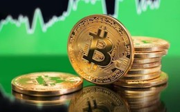 Giá Bitcoin hôm nay 15/4: Các quỹ ETF Bitcoin đẩy mạnh mua vào