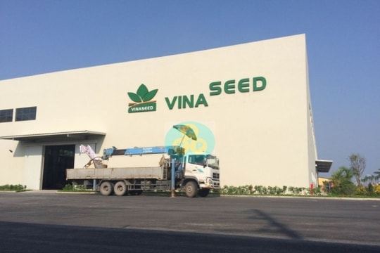 Vinaseed (NSC) đặt mục tiêu lãi kỷ lục, cổ tức “khủng” 40%