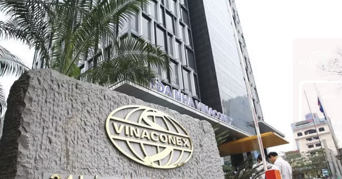 Vinaconex điều chỉnh mạnh kế hoạch kinh doanh, lợi nhuận sụt sâu