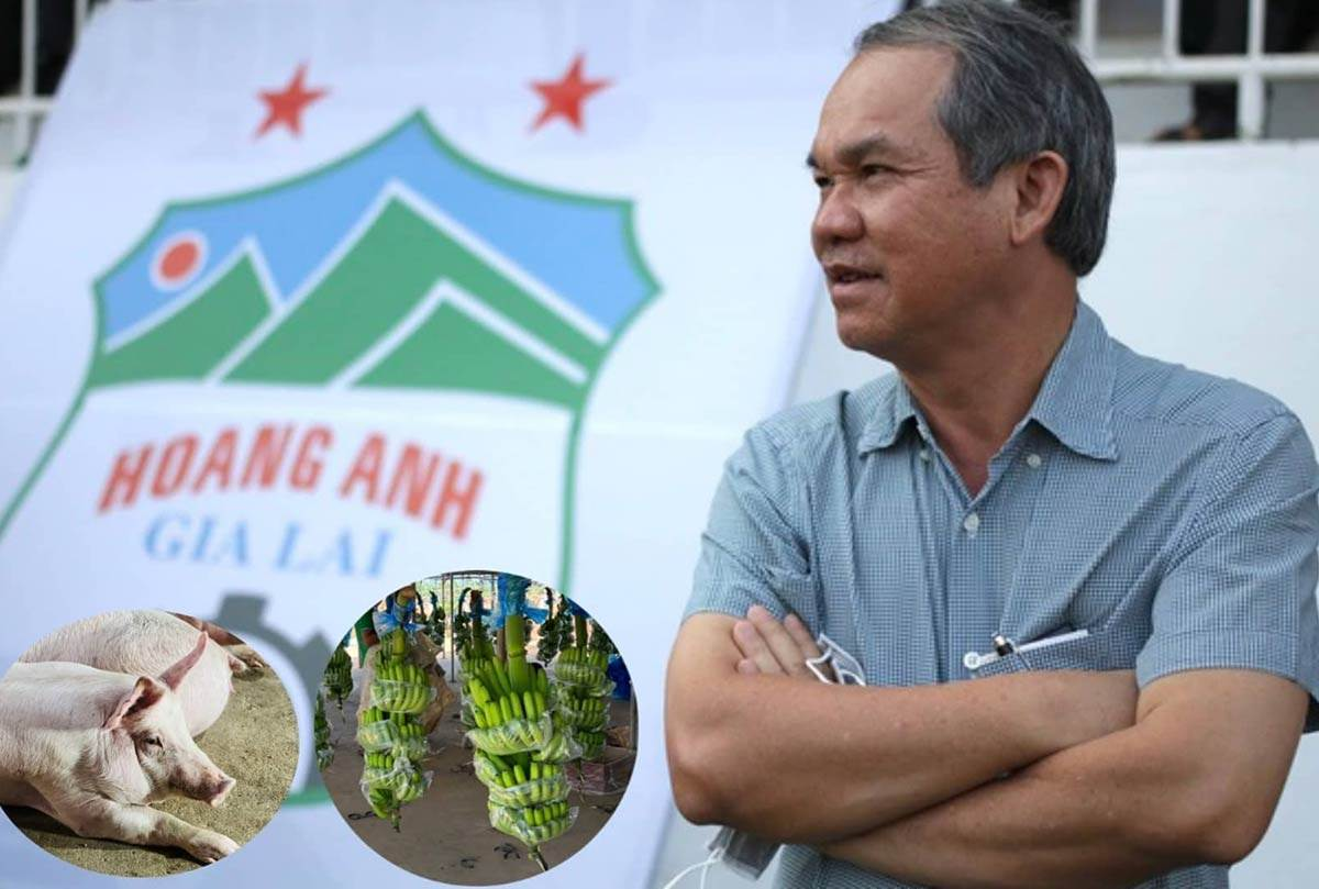 Chủ tịch HAGL liên tục mua vào HAG: Điều gì đứng sau sự tự tin này?