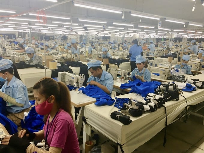 May Xuất khẩu Phan Thiết chi cổ tức “khủng”, thị giá chỉ hơn 1.000 đồng