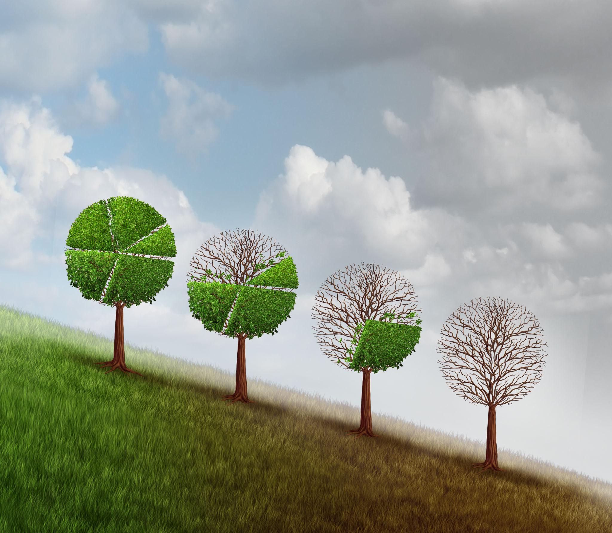 Cập nhật BCTC quý I: FPT lãi hơn 2.800 tỷ, OCB tăng 37%, Hodeco bứt phá 343%