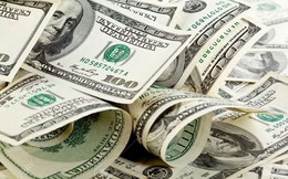 Tỷ giá USD hôm nay 24/4: Tỷ giá trung tâm tăng 8 đồng