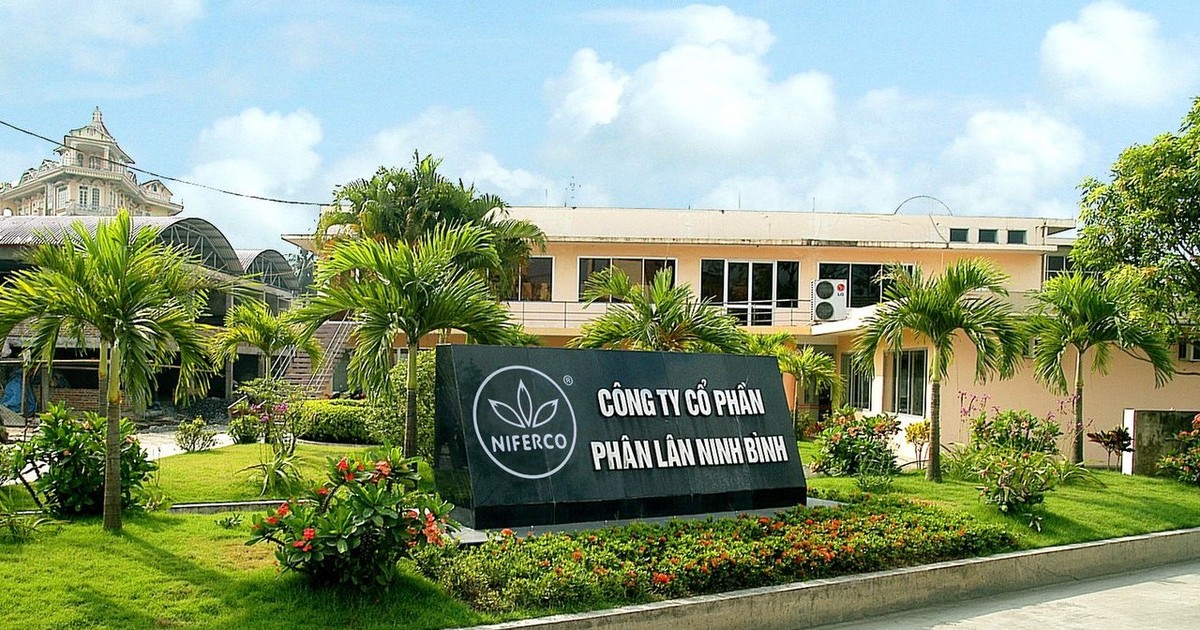 Phân lân Ninh Bình lập đỉnh lợi nhuận, cổ đông hưởng “trái ngọt” 50% tiền mặt
