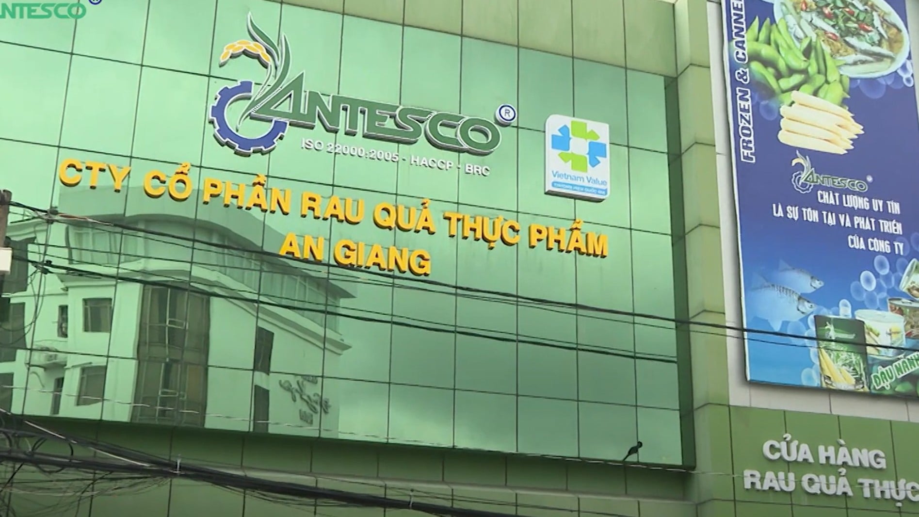 Antesco (ANT) liên tiếp chia cổ tức cổ phiếu 20%, tăng tốc mở rộng vốn
