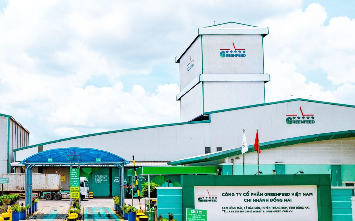Greenfeed kinh doanh tăng trưởng, mở rộng công suất tại Bình Định