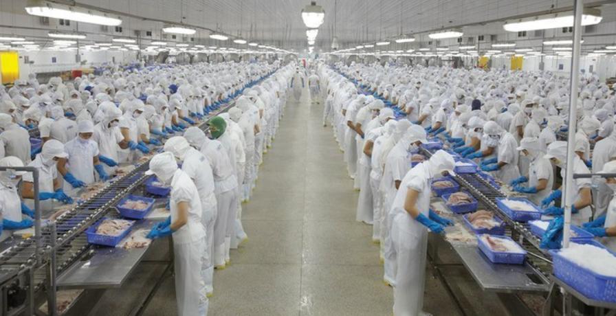 Lãi tăng 35%, Vĩnh Hoàn vẫn “mắc kẹt” với khoản lỗ gần 10 tỷ từ NLG, DXS