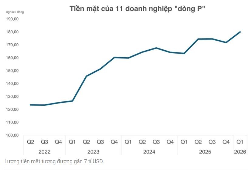 Tiền mặt của 11 doanh nghiệp dòng P.jpg