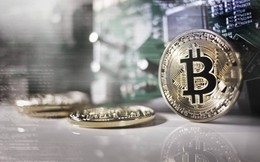 Giá Bitcoin hôm nay 11/5: ETF Bitcoin hút ròng vốn đầu tư 6 tuần liên tiếp