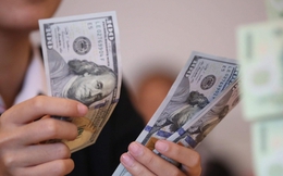 Tỷ giá USD hôm nay 11/5: Tỷ giá trung tâm tăng 6 đồng