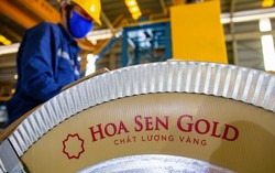 HSG phát hành thành công gần 186 triệu cổ phiếu, vốn điều lệ tăng thêm hơn 1.860 tỷ đồng