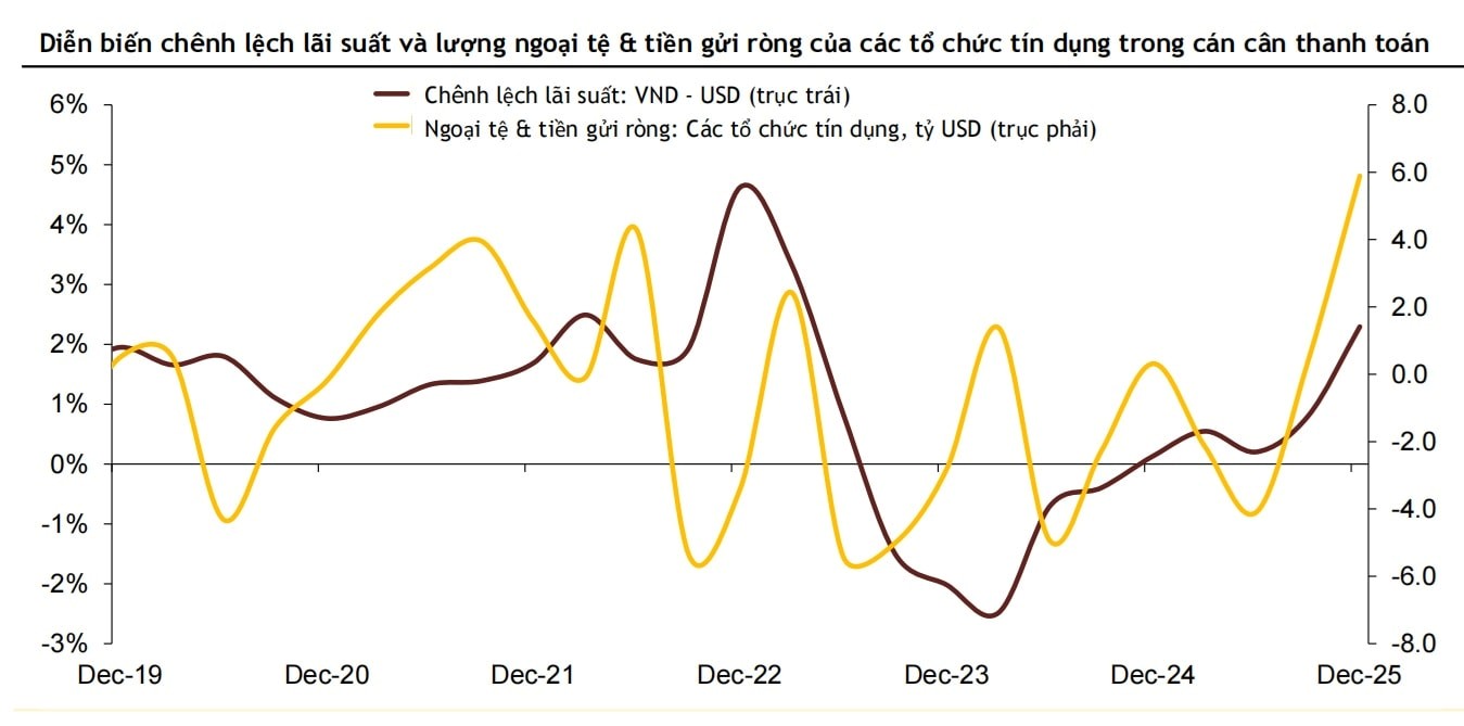 Nguồn MSVN.jpg