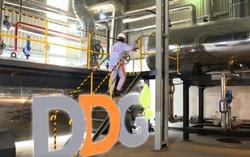 Nợ vay quá hạn tăng mạnh, cổ phiếu DDG đối diện nguy cơ bị hủy niêm yết