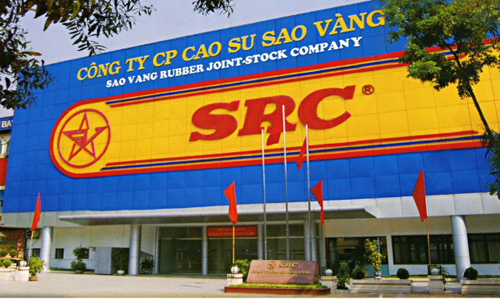 Cao su Sao Vàng chuẩn bị phát hành cổ phiếu thưởng tỷ lệ 30%