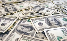 Tỷ giá USD hôm nay 18/5: Tỷ giá trung tâm giữ nguyên ở mức 25.131 đồng