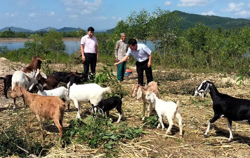 Gia Lai: Tín dụng chính sách mở ra sinh kế bền vững