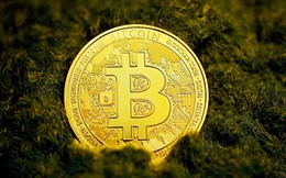 Giá Bitcoin hôm nay 20/5: Nhu cầu từ nhà đầu tư nhỏ lẻ giảm mạnh