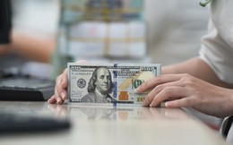 Tỷ giá USD hôm nay 21/5: Tỷ giá trung tâm ở mức 25.135 đồng