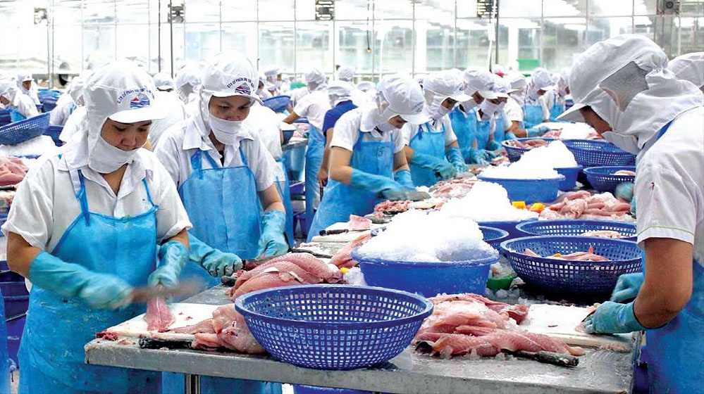Những cổ phiếu “cô đặc” trên sàn: Vốn hóa khủng nhưng thanh khoản nhỏ giọt
