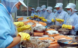 Xuất khẩu tôm vẫn có cơ hội tăng trưởng trong các tháng tiếp theo