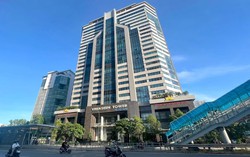Xuân Cầu Holdings bất ngờ không mua 14 triệu cổ phiếu VIW đã đăng ký