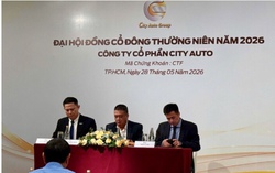 City Auto muốn tăng vốn 300 tỷ đồng, chuẩn bị thâu tóm loạt đại lý VinFast và Volkswagen