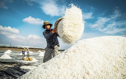 Xây dựng khung pháp lý linh hoạt để phát triển ngành muối bền vững