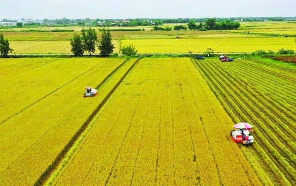 Không chỉ tín dụng, cần hoàn thiện hệ sinh thái tài chính cho nông nghiệp xanh