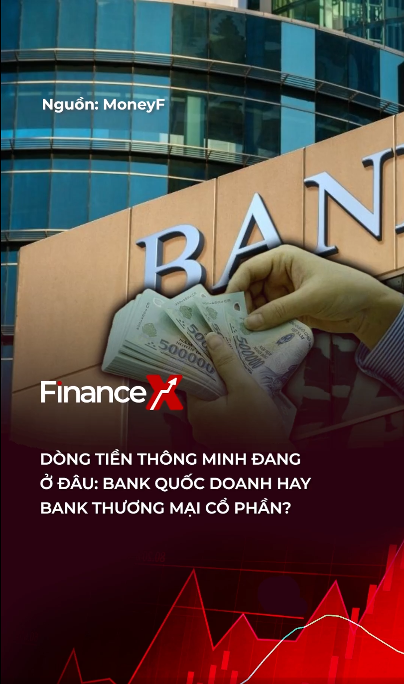 Dòng tiền thông minh đang ở đâu: Bank quốc doanh hay bank thương mại cổ phần 