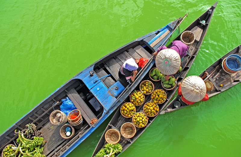 Thủ tướng yêu cầu Cần Thơ hút vốn vào chế biến sâu, công nghệ cao