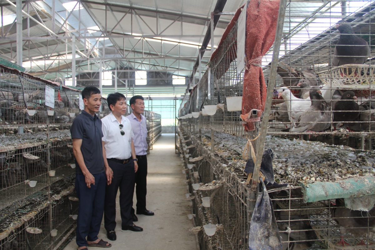 Cho vay tam nông vẫn là một trong những lĩnh vực ưu tiên đẩy mạnh ở khu vực .