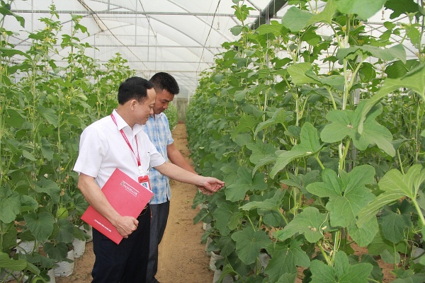 Khơi thông "huyết mạch" tín dụng: Lực đẩy vươn tới mục tiêu tăng trưởng 2 con số