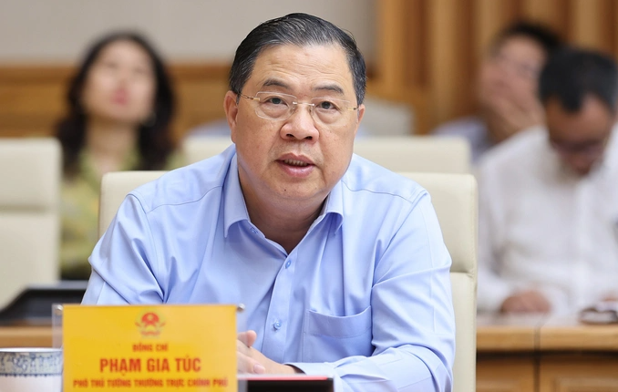 Phó Thủ tướng yêu cầu làm tốt tái định cư tại siêu dự án sông Hồng 736.963 tỷ đồng