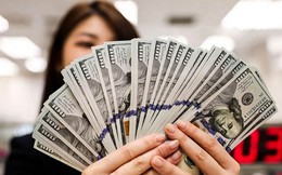 Tỷ giá USD hôm nay 2/6: Tỷ giá trung tâm tăng 3 đồng