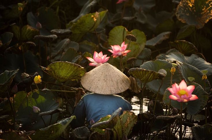 Giới quan sát Pháp đánh giá cao 5 động lực tăng trưởng mới của Việt Nam.jpg