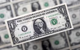 Tỷ giá USD hôm nay 3/6: Tỷ giá trung tâm tăng 4 đồng