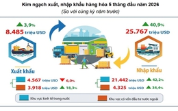 Hà Nội: Kim ngạch xuất khẩu hàng hóa 5 tháng tăng 3,9%