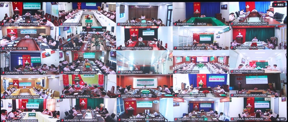 Buổi họp giao ban tại điểm cầu địa phương