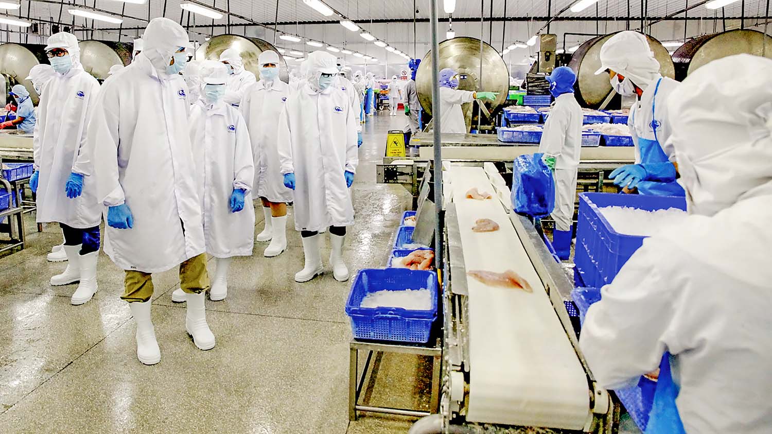 Cổ phiếu VHC rơi về đáy 3 tháng, công ty chứng khoán vẫn khuyến nghị mua
