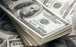 Tỷ giá USD hôm nay 8/6: Tỷ giá trung tâm tăng 3 đồng