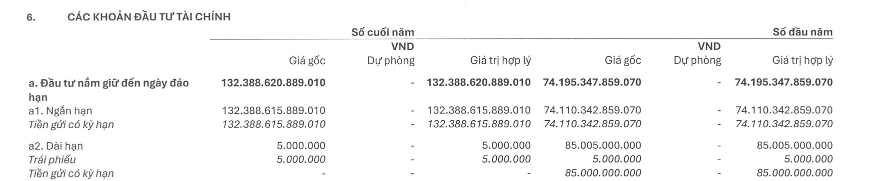 EVN có hơn 132.000 tỷ đầu tư nắm giữ đến ngày đáo hạn.png