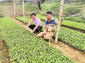 Tín dụng chính sách góp phần tạo sinh kế, nâng cao đời sống người dân